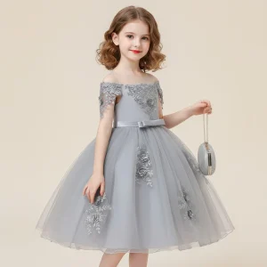 Robe cérémonie fille grise