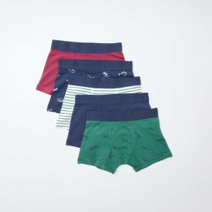 Lot 5 boxers unis unis et imprimés BLEU