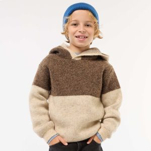 Pull à capuche color bloc MARRON