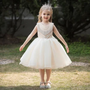 Robe cérémonie fille champagne